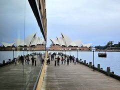 ..☆...オーストラリア～20時間寝るコアラとオペラハウス・シドニー最終日編～...☆..