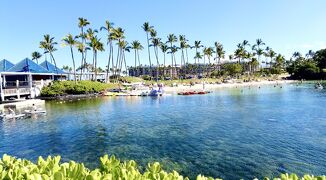 アラフィフ姉妹の節約ホノルル&ハワイ島旅③／ハワイ島のヒルトンワイコロアビレッジ／夜のヒルトンをひとり徘徊／鳥たちに癒された一日