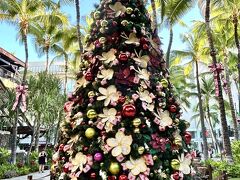 2025年ホリデーシーズンハワイのクリスマスツリー