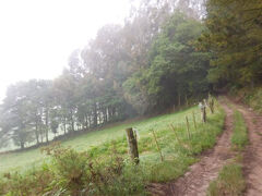 2025サンチャゴ巡礼20 プリミティボの道08 CampiejjoからPola de Allande アルベルゲは独り占め