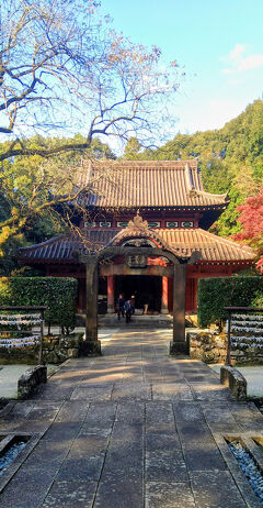 　孔子の里(西渓公園・多久廟)紅葉まつり　唐津シーサイドホテルでケーキ三昧～佐賀紅葉狩り旅行②～