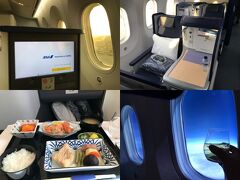 11回目のシンガポールへ行く旅　その3【ジャカルタからANAのビジネスクラスで帰国】