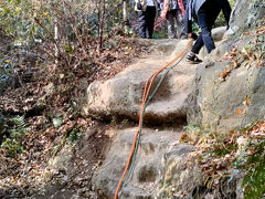 鎌倉、紅葉の天園ハイキング