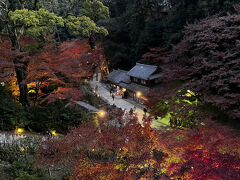 予想以上に楽しめた姫路