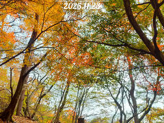 登山・ハイキング