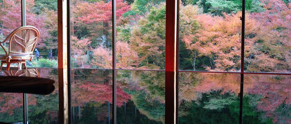 「環境芸術の森」「雷山千如寺」圧巻の紅葉を堪能！人気なのも納得～佐賀紅葉旅行③～