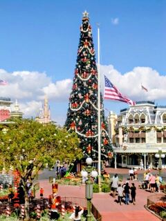 2025年オーランド WDW(ヒューストン経由)全日空航空のんびり高齢母娘コンビ旅② 