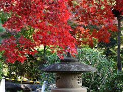 上州ツーリング　高崎　白岩山長谷寺から箕輪城跡・旧下田邸書院及び庭園へ行きました。