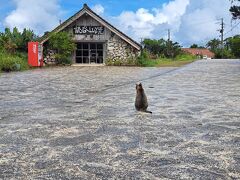 《3》城めぐりとグルメ旅。