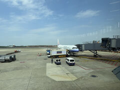 チャイナエアラインで行くぜ！台北→パラオ