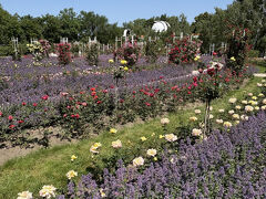 ドレスデン・マイセンとプラハを巡る旅③〜プラハ街歩き