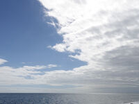 20251201 台東 片付けごとの合間に…雅米早餐店で蛋餅→宿の珈琲→海賓公園徘徊→大伯豆花で豆漿豆花→來點感性滷味の外帯