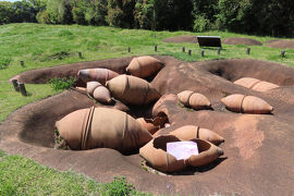 佐賀 吉野ヶ里歴史公園 古代の森ゾーン(Ancient Forest Zone,Yoshinogari Historical Park)