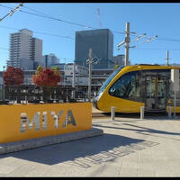 大金温泉と宇都宮散策。