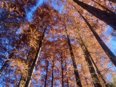 ハイキング・登山