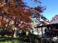 日本一遅い紅葉を見に熱海へ　D1