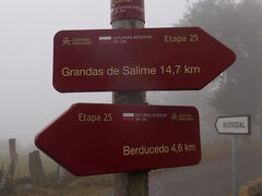 2025サンチャゴ巡礼21 プリミティボの道10 BerducedoからGrandas de Salim この旅最大の失敗