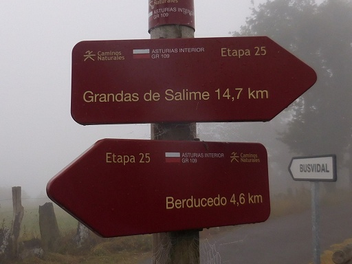 2025サンチャゴ巡礼21 プリミティボの道10 BerducedoからGrandas de Salim この旅最大の失敗