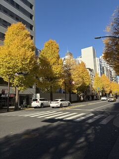 初冬の横浜散策（氷川丸編）