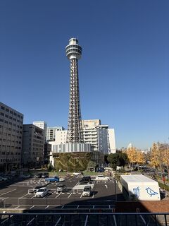 初冬の横浜散策（横浜公園編）