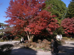 九州一周時計回りの旅３　鹿児島　霧島温泉