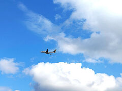 2025＿札幌旅行最終日～新千歳空港滞在と持ち帰った子たち