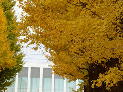 慶應義塾日吉キャンパス