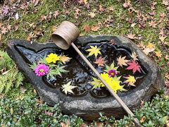 一条恵観山荘で紅葉狩り