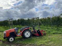 2025初秋　グルメとワインな北海道