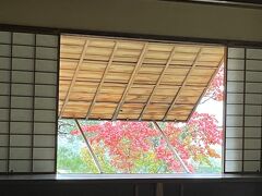 滋賀、京都旅　day 4 & 5