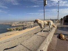 遥かなるエジプトナイルの船旅　10　６日目　モーターボートでナセル湖クルーズ