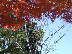 自転車での紅葉狩り