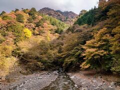 静岡の紅葉　　　　　　　　　　　２０２５シーズン
