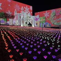 2025.12月足利フラワーパーク