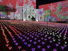 2025.12月足利フラワーパーク