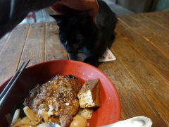 20251213 新北 運休中の平渓線沿線、接駁車で巡る。瑞芳出発→ひと気無い菁桐で午餐→(歩き)→平渓寄って→十分すげぇ人だらけ→瑞芳。