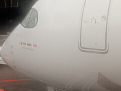 2025DEC①SASスカンジナビア航空特典航空券プレミアムエコノミーでコペンハーゲンへからのエーゲ航空修行でアテネ乗換えでテッサロニキへ