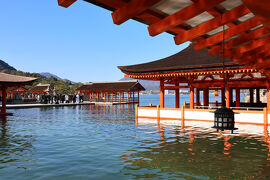 大潮の厳島神社＆白蛇の棲む城下町・岩国を訪ねて【広島・岩国2日目②】