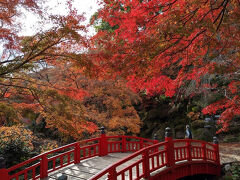 鎌倉と熱海で紅葉鑑賞(2日目)