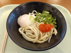 瓜生山特製唐揚げカレー