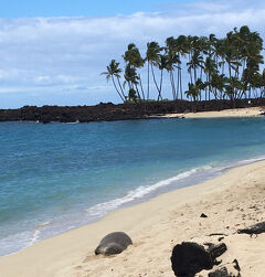 ３年ぶりのハワイ島　ーーー２日目ーーー
