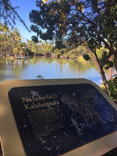 ３年ぶりのハワイ島　ーーー４日目ーーー