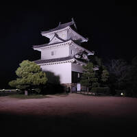 猫探し【香川】丸亀城と金刀比羅宮 編