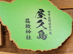 骨を折りに行った屋久島：3日目　買い物三昧