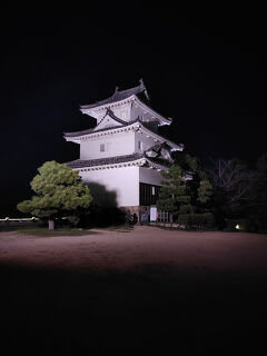 猫探し【香川】丸亀城と金刀比羅宮 編