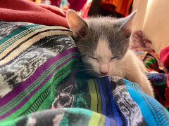 Mayanに会いに行こー*\(^o^)/*チチカステナンゴのメルカドは大賑わい