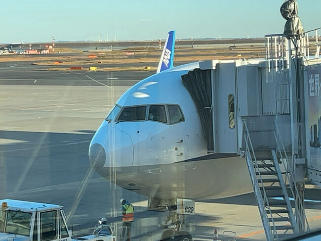 2025年12月韓国鉄道旅行2（NH865便ビジネスクラスでソウルへ）