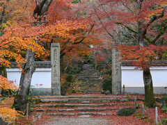 2025年師走の京都、浄住寺の特別拝観と名残の紅葉
