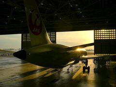 空港見学会に参加してみた