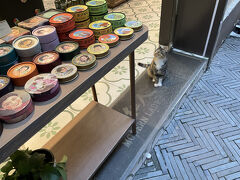 こんな時期ですが2度目の上海へ②田子坊、新天地、豫園